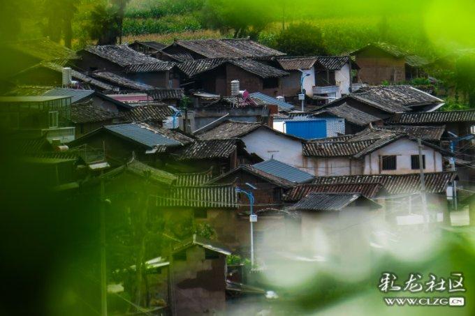 万词王