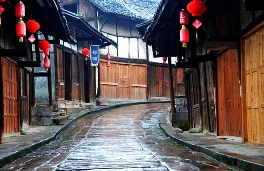 春雨直播app